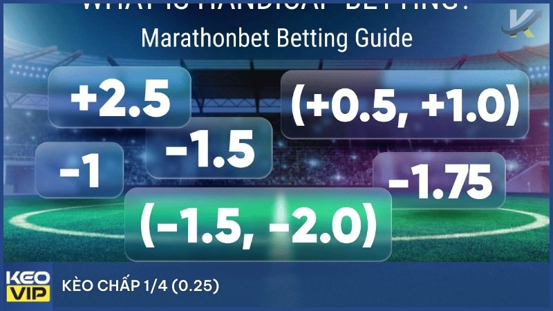 Kèo 1/4 rất được ưa chuộng vì nó giảm thiểu rủi ro so với kèo chấp nửa trái (0.5) thông thường