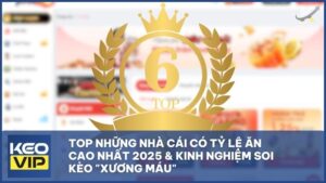 nha cai co ty le an cao nhat - Top Những Nhà Cái Có Tỷ Lệ Ăn Cao Nhất 2025 & Kinh Nghiệm Soi Kèo "Xương Máu"