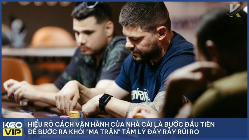 Cá cược không chỉ là dự đoán kết quả, đó là cuộc đấu trí giữa dữ liệu từ Keonhacai5 và cảm xúc cá nhân