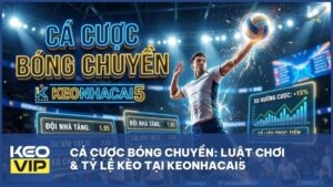 ca cuoc bong chuyen keonhacai5 - Cá Cược Bóng Chuyền A-Z: Bí Kíp Soi Kèo Và Kinh Nghiệm Thắng Lớn Tại Keonhacai5