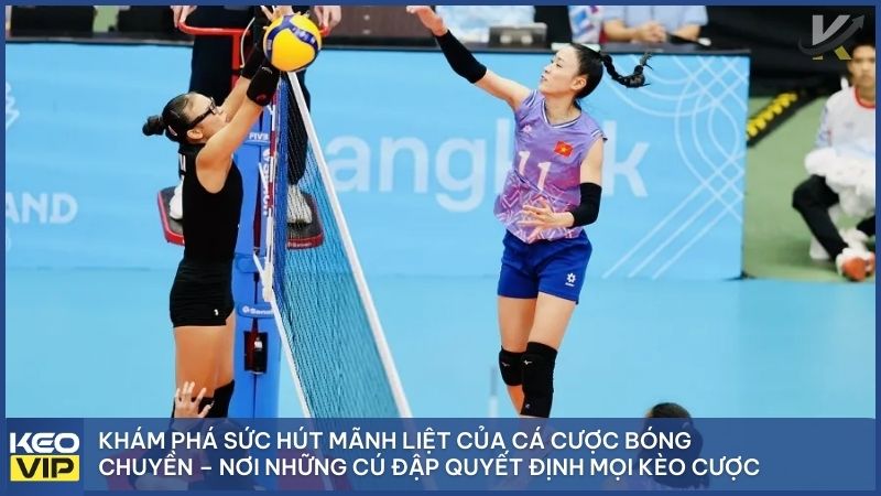 Khám phá sức hút mãnh liệt của cá cược bóng chuyền – nơi những cú đập sấm sét quyết định vận mệnh của mọi kèo cược.