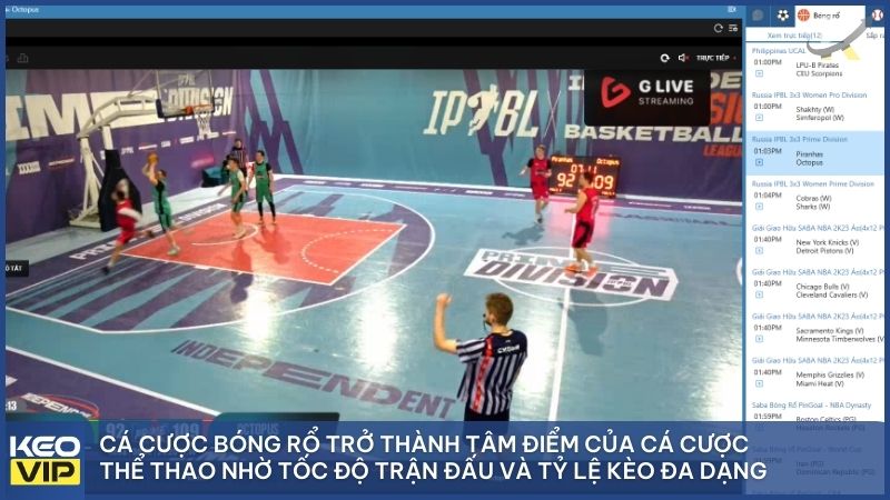 Sức hấp dẫn khó cưỡng của các kèo cá độ bóng rổ với những pha ghi điểm kịch tính đến giây cuối cùng