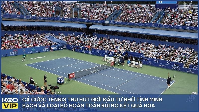 Sức hút của tennis không chỉ đến từ những pha bóng đẹp mà còn từ tỷ lệ thắng cược cực kỳ hấp dẫn.