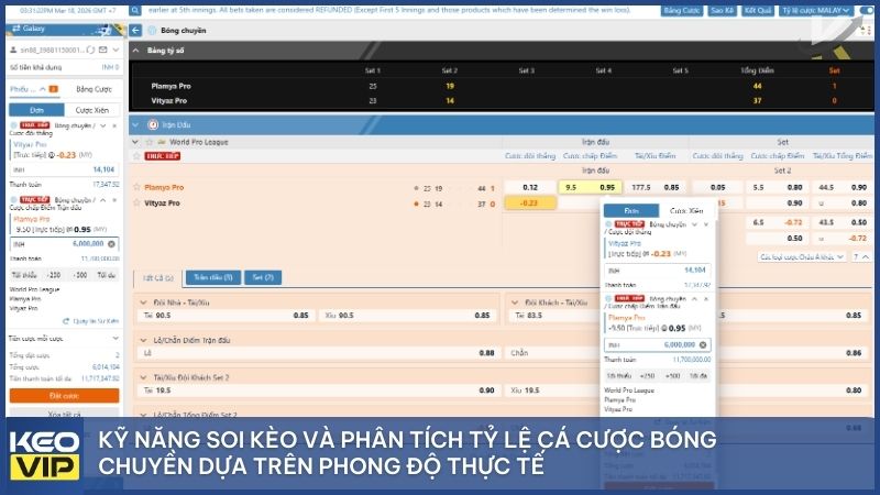 Kỹ năng soi kèo và phân tích tỷ lệ cá cược bóng chuyền dựa trên phong độ thực tế giúp nâng cao tỷ lệ chiến thắng