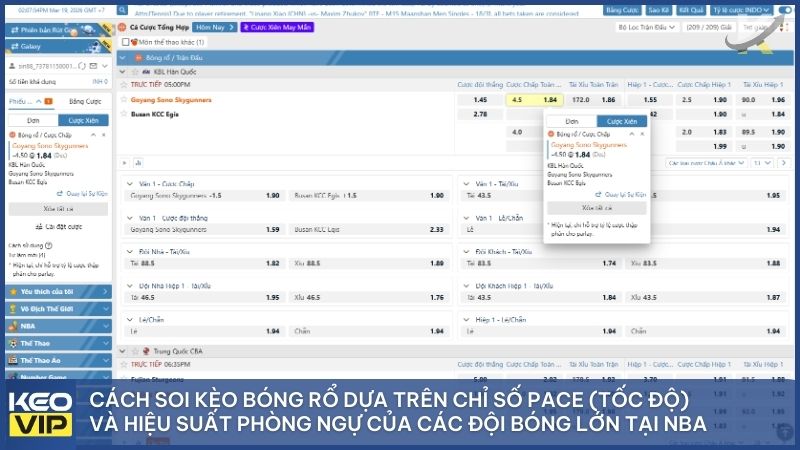 Sử dụng các số liệu thống kê thực tế để xây dựng chiến lược cá cược bóng rổ thông minh thay vì đặt cược theo cảm tính