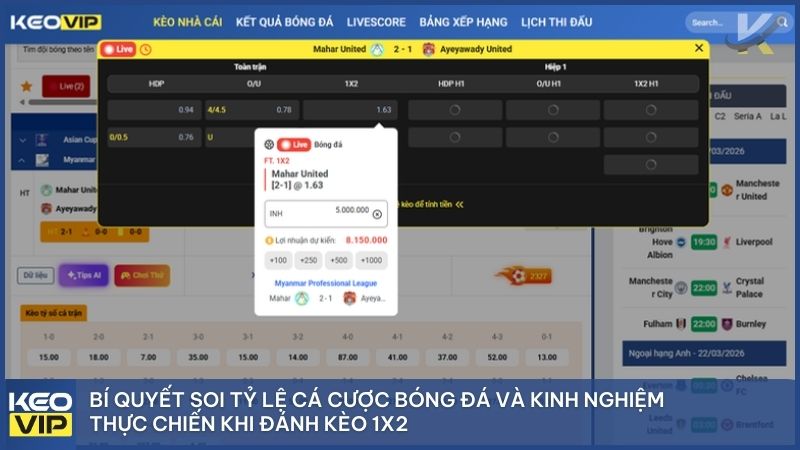 Bí quyết soi tỷ lệ cá cược bóng đá và kinh nghiệm thực chiến giúp bạn "về bờ" an toàn khi đánh kèo 1X2