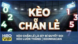 keo chan le la gi - Kèo Chẵn Lẻ Là Gì? Bí Quyết Soi Kèo Chẵn Lẻ Từ Cao Thủ Kèo Nhà Cái 5