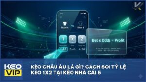 keo chau au keonhacai5 - Kèo Châu Âu Là Gì? Bí Quyết Đọc Vị Tỷ Lệ Kèo Nhà Cái 5 Luôn Thắng