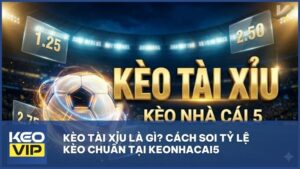 keo tai xiu keonhacai5 - Kèo Tài Xỉu Là Gì? Cẩm Nang Chinh Phục Tỷ Lệ Cá Cược Tại Kèo Nhà Cái 5